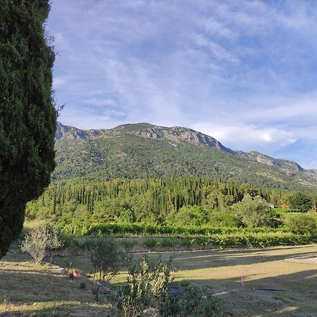 Country House Uros In Nature With Pool Lovorno Extérieur photo