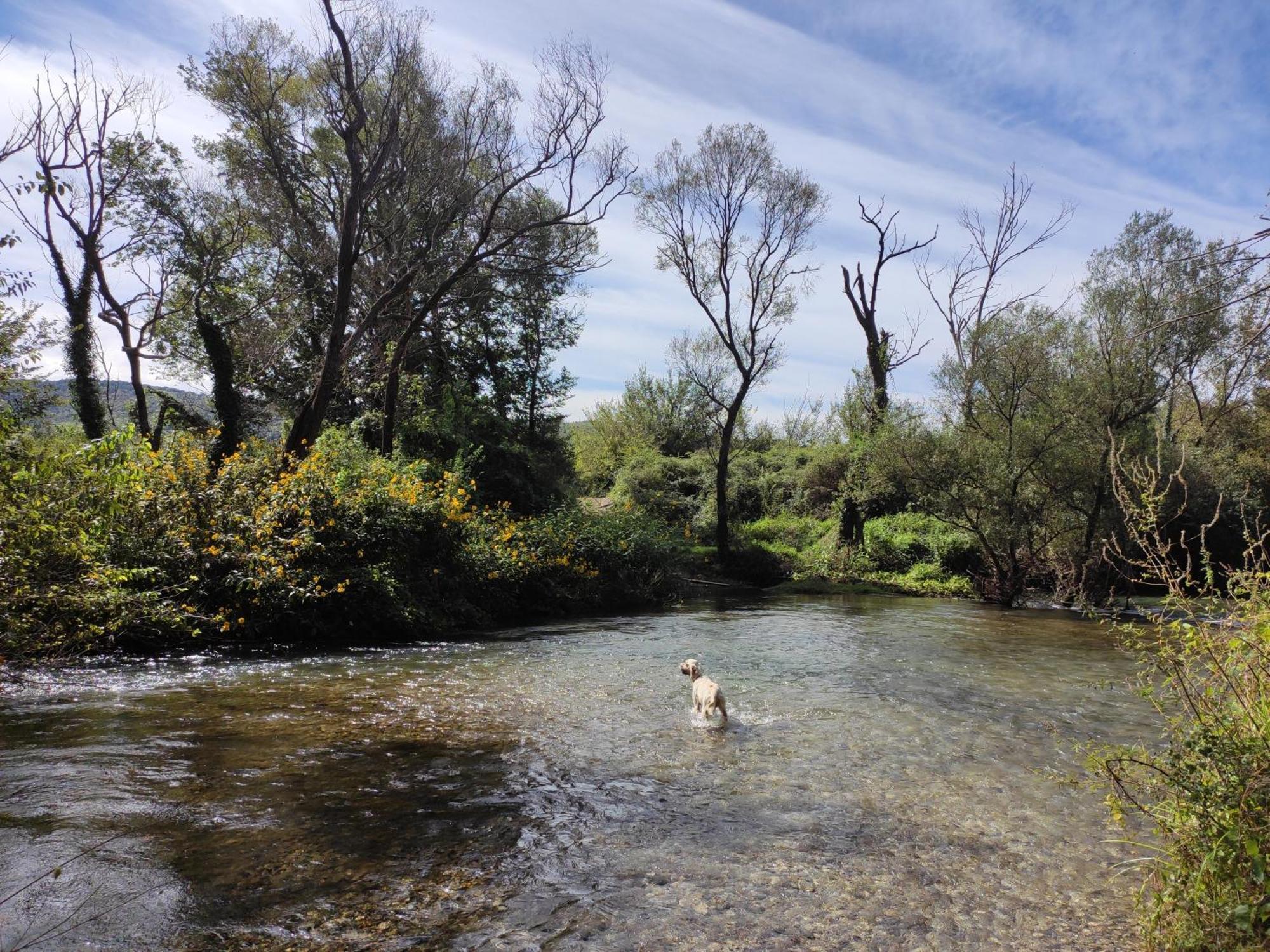 Country House Uros In Nature With Pool Lovorno Extérieur photo
